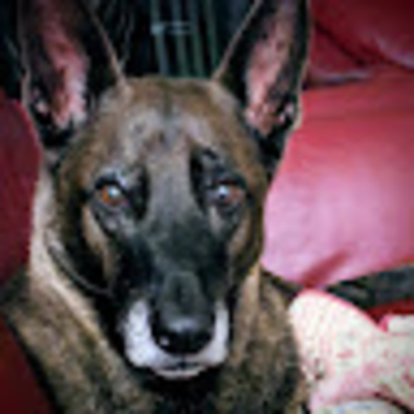 Meet your Posher, Danny - Picture 1 of 1